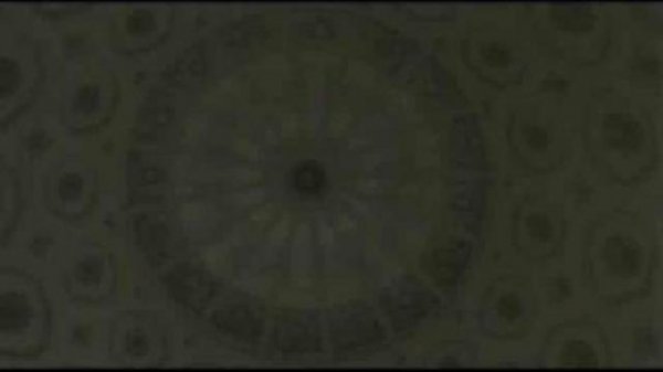 Фестиваль короткометражного кино / Визитка