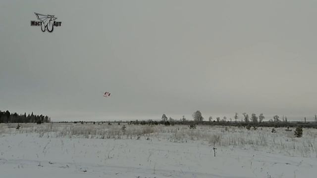 Разборная авиамодель. Съемные крылья. Снежинка. Collapsible Aircraft Model. Removable Wings