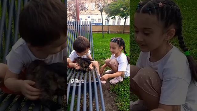 А вы любите котиков?😻 смотреть онлайн