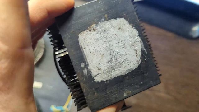  Компьютерная жизнь