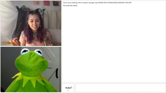 Kermit's showing off his BGC on Omegle смотреть онлайн