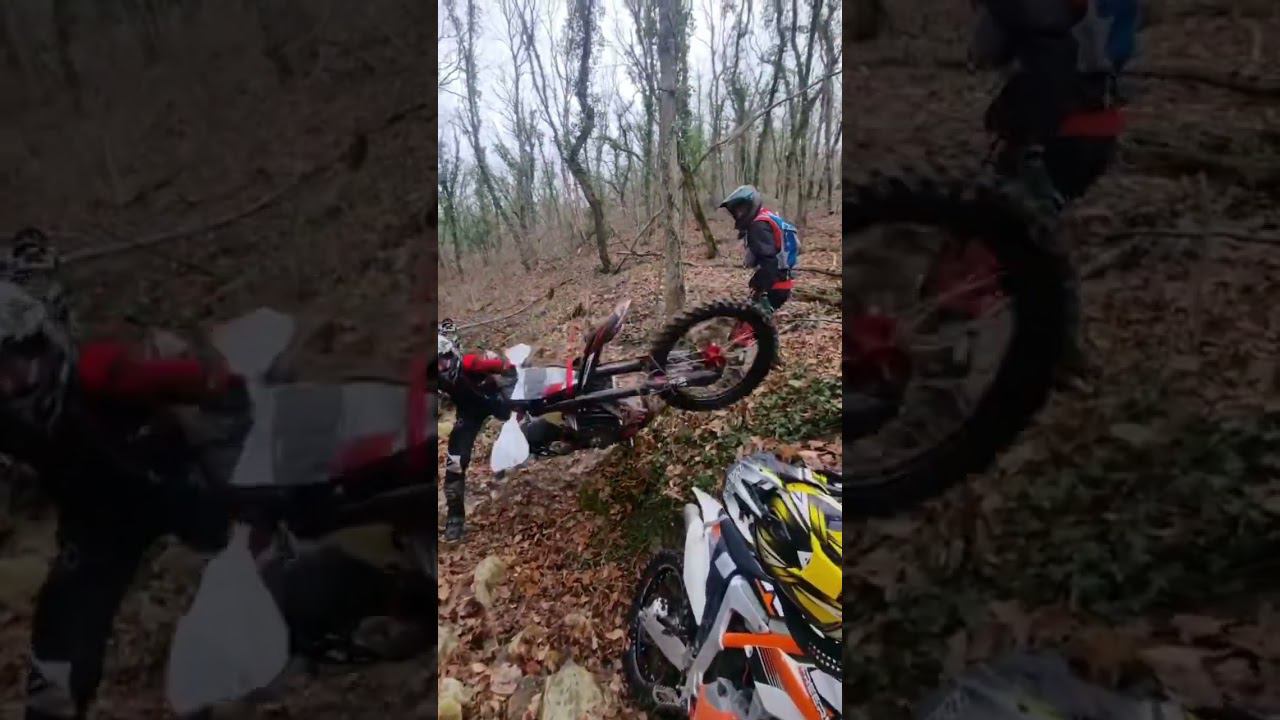 5 января 2023 г. смотреть онлайн