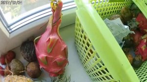 Фрукты из Вьетнама!!!