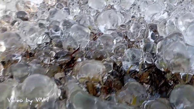 5 мая 2022 год. Ночью в Печоре было минус 3. Результат. смотреть онлайн