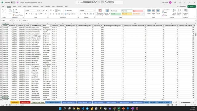 Microsoft Excel Capacity Plan Project смотреть онлайн