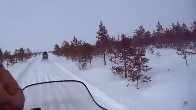 Надюшка на Динго смотреть онлайн
