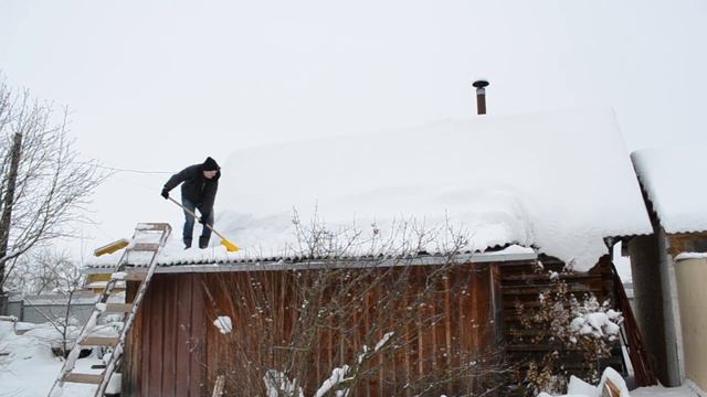 ЧТО ВИДЯТ ГОЛУБИ с конька нашей бани?What does the pigeon see from my house смотреть онлайн