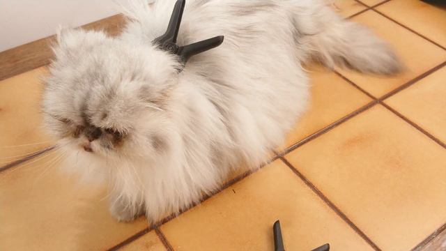 ПРИЩЕПКИ ЗАЖИМЫ ДЛЯ ФОТО ВИДЕО ОТРАЖАТЕЛЕЙ И ТД смотреть онлайн