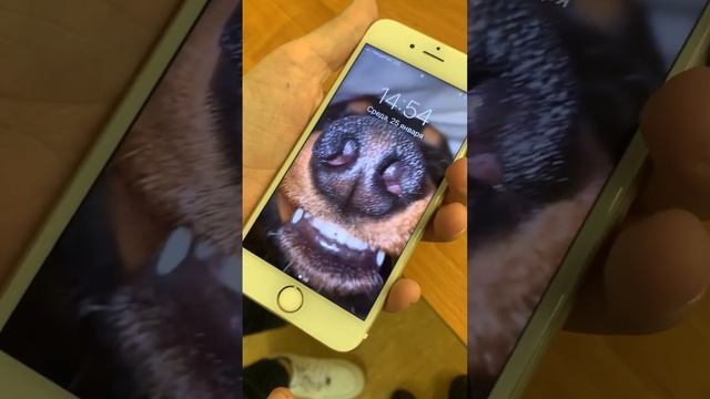 Очиститель экрана 2 в 1 (Спрей + губка) Semrush смотреть онлайн