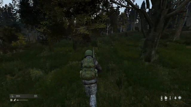 Attaque d'ours DAYZ PS4 FR (chernarus) смотреть онлайн