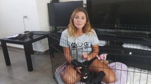 В каком возрасте лучше брать щенка