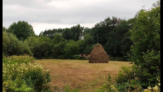 Н Рубцов Родная деревня #стихиородине #поэты20века смотреть онлайн