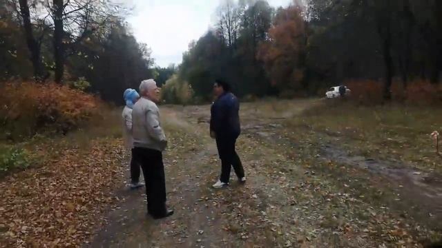 Общественники возмущены началом работ в парке Победы в Орле смотреть онлайн