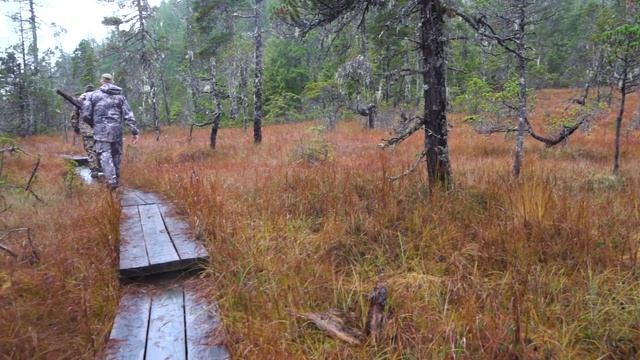 Hunting Bucks In The Rainforest | Alaska Blacktail Deer Hunt (EP. 1) смотреть онлайн