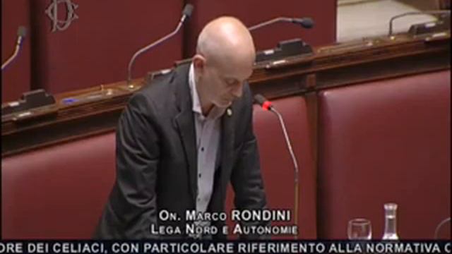 2013-10-28 12:11:02 RONDINI MARCO смотреть онлайн