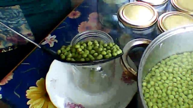 Интересные Факты и Загадки