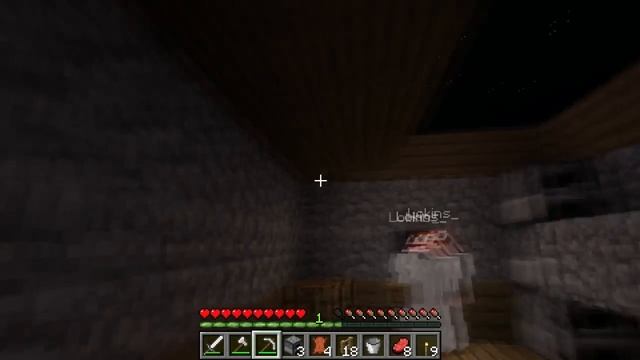 Minecraft: Два Друга Играют в MineCraft Часть 1 [ВЫСОЧЕННЫЙ ГНОМ] смотреть онлайн