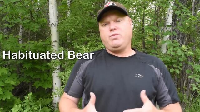 Bear Safety Part 1: Bear Behavior & Why Bears Attack смотреть онлайн