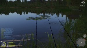 Русская рыбалка 4 - Старое озеро Комариное - Трофейный карась на волосяную оснастку