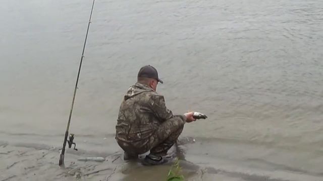 Прогулка со спиннингом смотреть онлайн