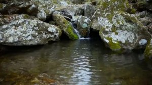 Музыка воды! Атмосфера водного потока, мягкая и успокаивающая струящаяся вода.