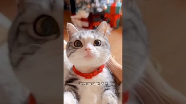 Обычный Алиэкспресс.