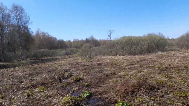 ГДЕ ДОБЫВАЮТ НАСТОЯЩИЙ МЁД, КОЛОДЫ. смотреть онлайн