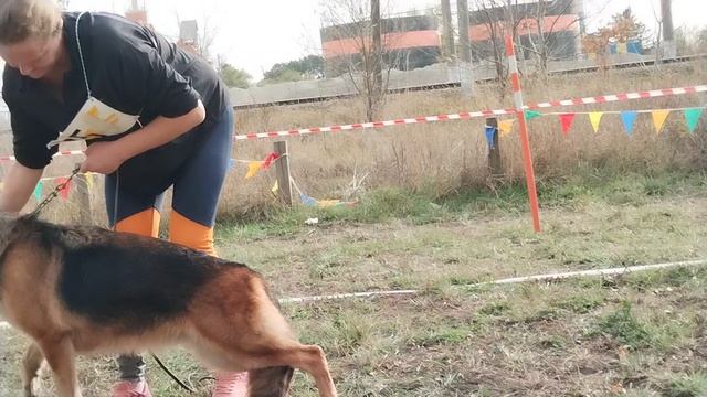 Рабочие суки - моно в Краснодаре 2023