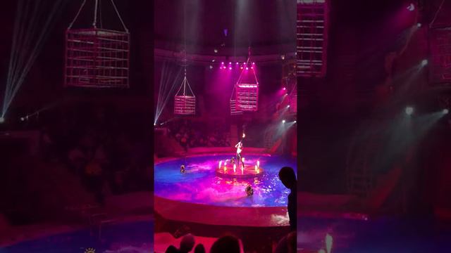 «Шоу на воде» Шевченко-Шоу смотреть онлайн