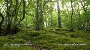 Просто прослушай и запусти Свою Новую Жизнь в ВЫСОКИХ ВИБРАЦИЯХ✨ Моя Духовная Практика БЛАГОДАРНОСТ