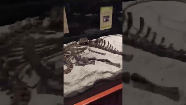 Парк юрского периода) смотреть онлайн