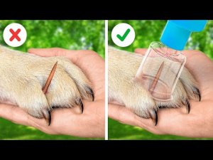 ПОЛЕЗНЫЕ ГАДЖЕТЫ И ЛАЙФХАКИ ДЛЯ ВЛАДЕЛЬЦЕВ ДОМАШНИХ ЖИВОТНЫХ.