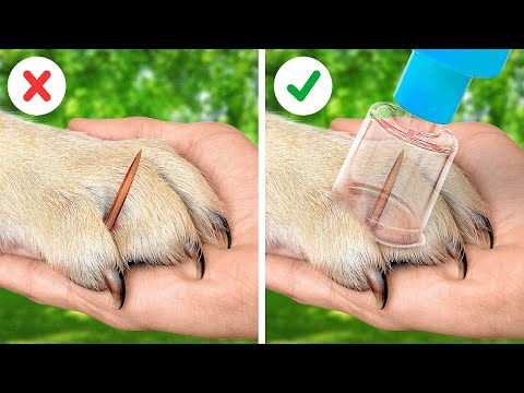 ПОЛЕЗНЫЕ ГАДЖЕТЫ И ЛАЙФХАКИ ДЛЯ ВЛАДЕЛЬЦЕВ ДОМАШНИХ ЖИВОТНЫХ.