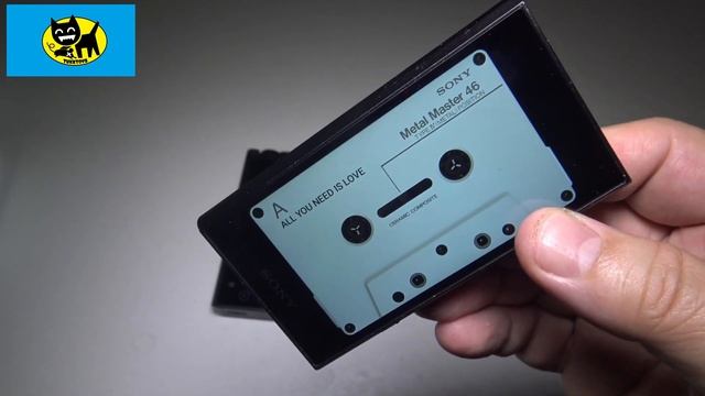 SONY NW-A306 VS (The Rare) SURFANS F35