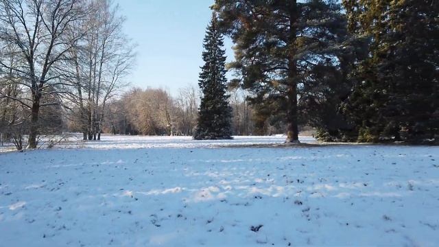 Павловский парк в ноябре смотреть онлайн