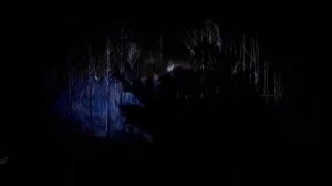 ELUVEITIE - Ira Sancti (When The Saints Are Going Wild) (POWERWOLF Cover)