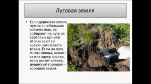 дерновая земля