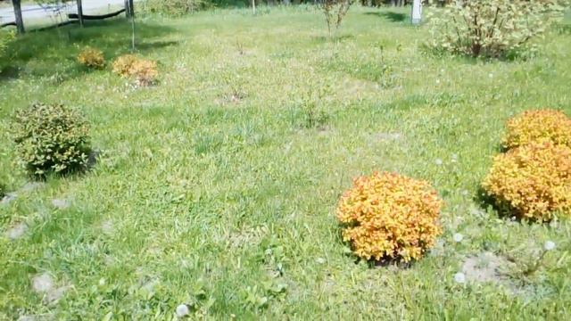 Въезд в село Медведовка,Пограничный пост.5 мая 2019.Продолжение поездки по родным местам. смотреть онлайн