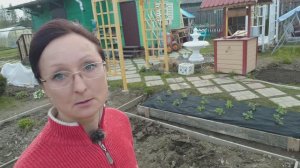 Видео привет с 6 соток 14 мая 2024 года. Земляника...