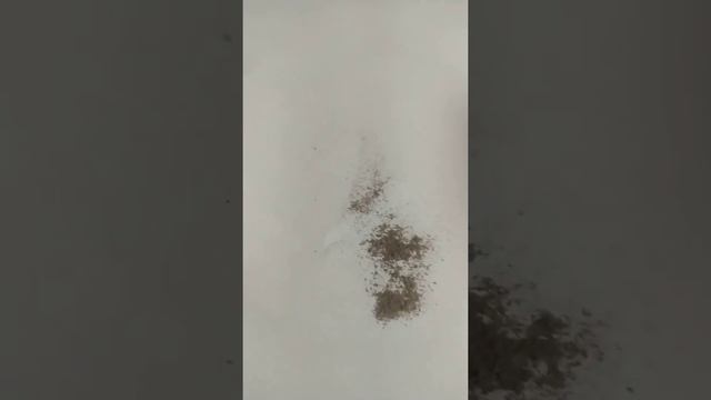 химтрейлы магнитный налëт на окне магнитная пыль смотреть онлайн