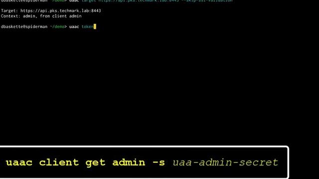 Installing Pivotal Container Service (PKS) on VMware vSphere and NSX-T смотреть онлайн