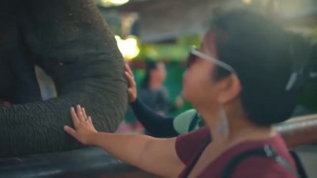 Exploring The Wonders Of Ayutthaya