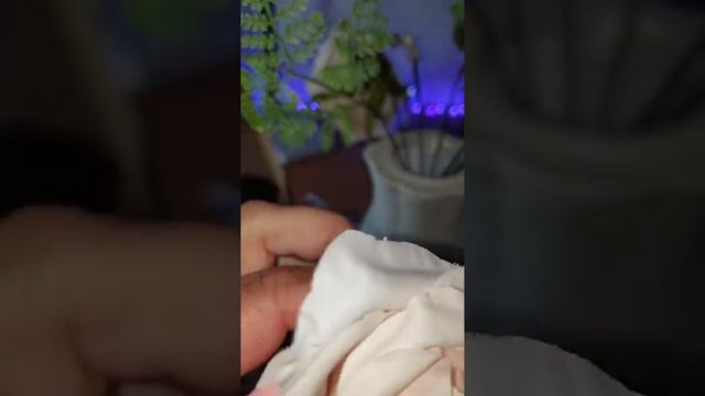 Bafenli Künstliche Blumen Rosen 32 Stück Gefälschte Blumen Deko Blumen, Wunderschöne Blüten, sehr l смотреть онлайн