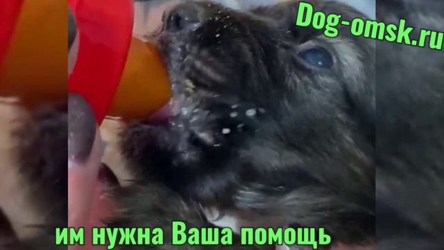 Восемь крошек смотреть онлайн