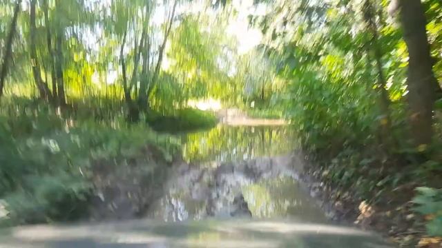 За грибами в Камских полянах. Татарстан смотреть онлайн