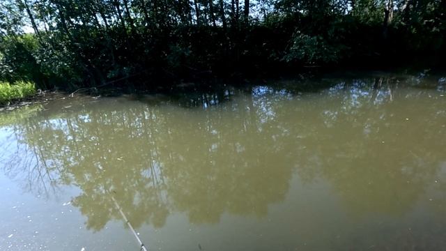 рыбалка на спиннинг с берега. июнь 2023 смотреть онлайн