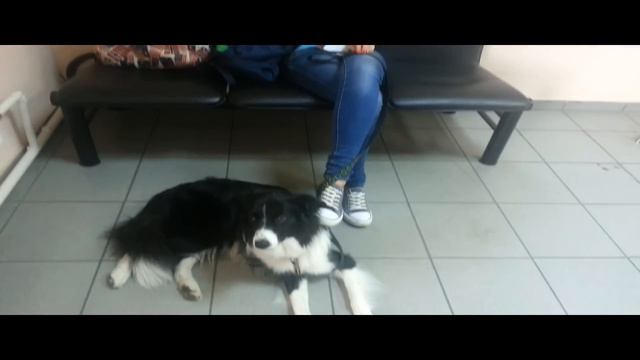 Забираем Кобру с аэропорта смотреть онлайн