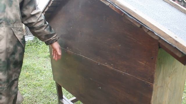 УЛИЧНЫЕ ГНЁЗДА ДЛЯ КУР! смотреть онлайн