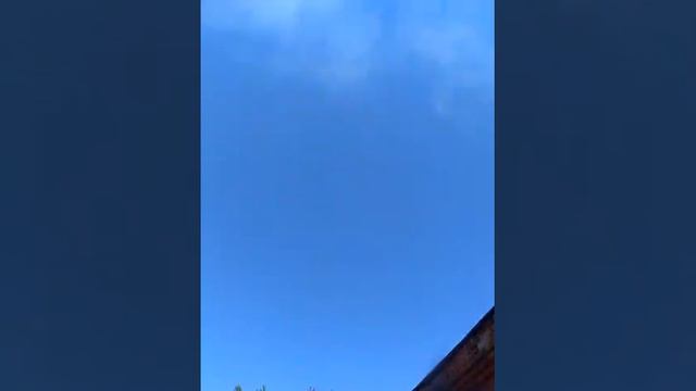 котёнок Гав ищет дом!!! смотреть онлайн