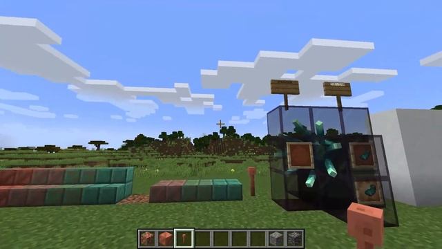 *HUGE* News! Minecraft 1.17 RELEASE DATE CONFIRMED | Minecraft Java/Bedrock/Xbox/PS4/MCPE смотреть онлайн